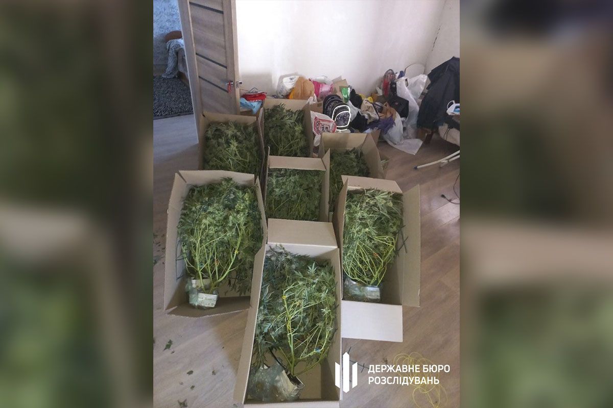 Задержанные изготовляли и продавали коноплю