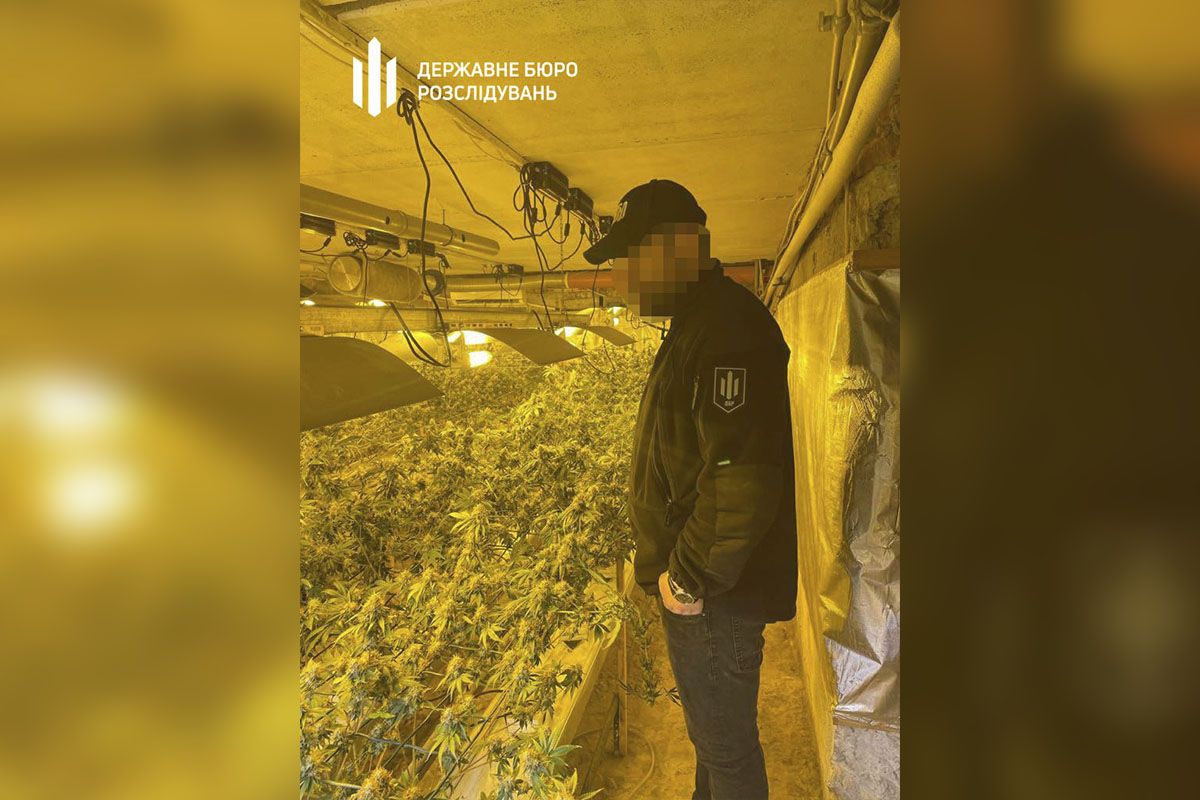 Преступную организацию прикрывали правоохранители