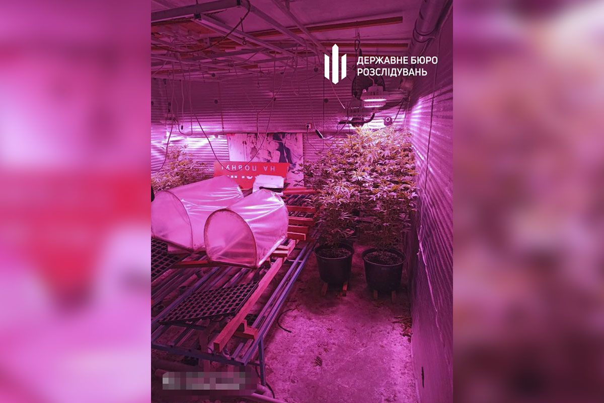 Сеть действовала в нескольких регионах Украины