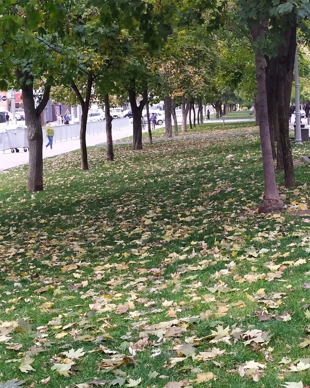 irinabormachenko irinabormachenko