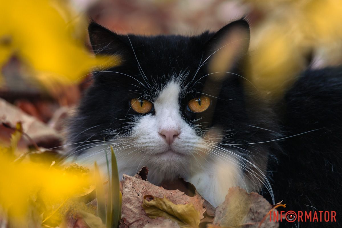 Прямо як з обкладинки Прямо як з обкладинки
