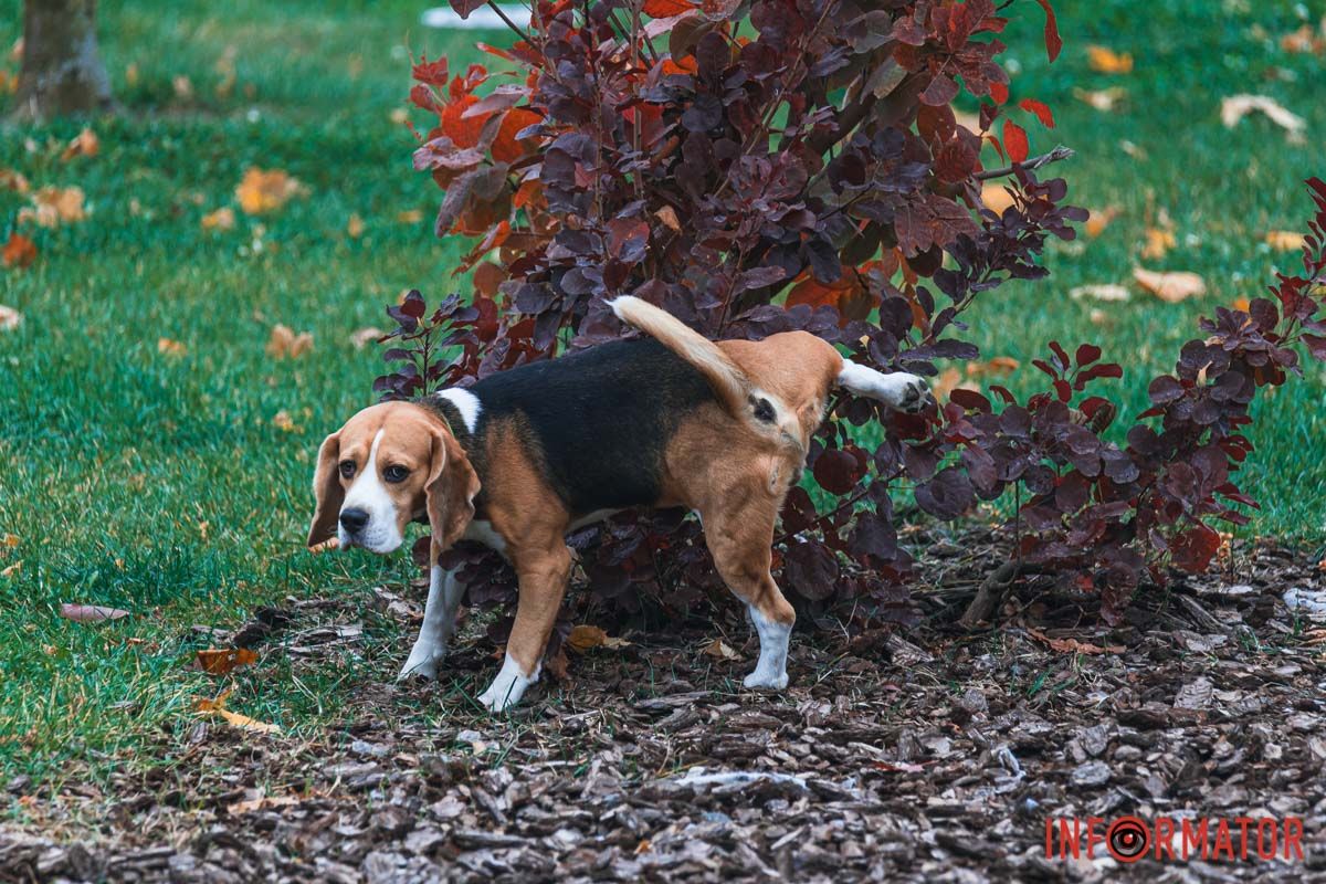Спіймали на місці злочину Спіймали на місці злочину