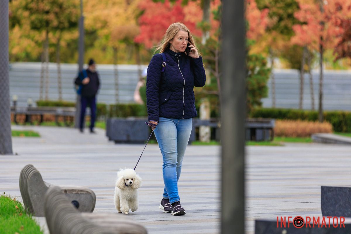 Комочок щастя Комочок щастя