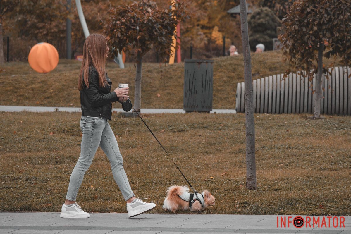 А у вас є улюбленці? А у вас є улюбленці?