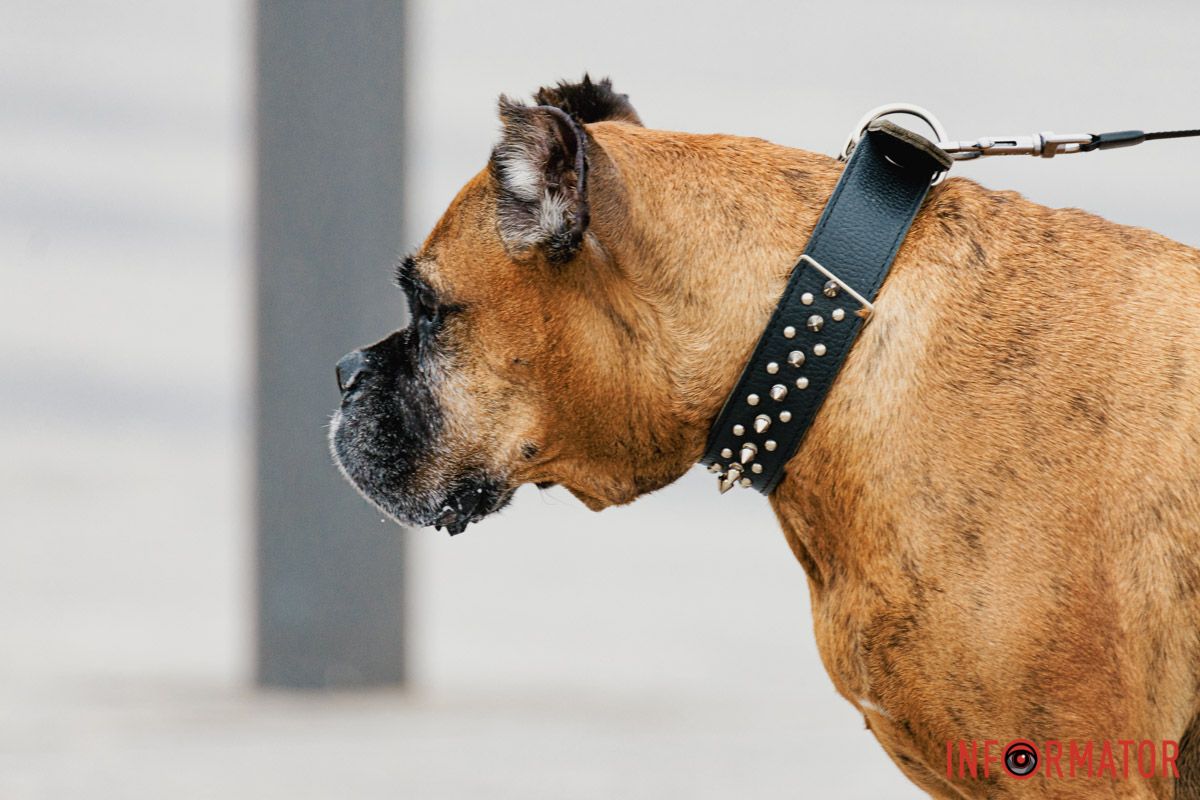 Я дуже злий... Я дуже злий...