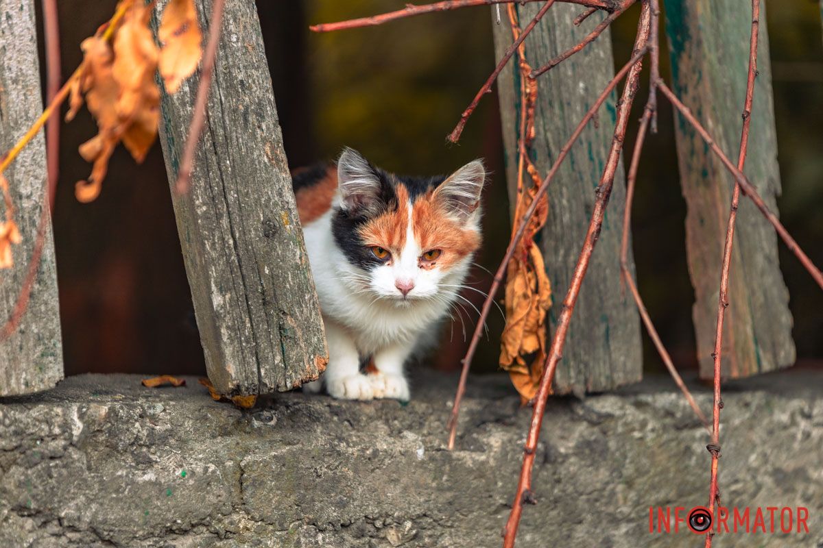 Посміхайтесь Посміхайтесь