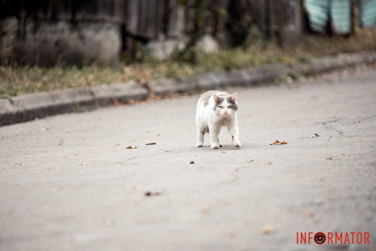 А, це ви... А, це ви...