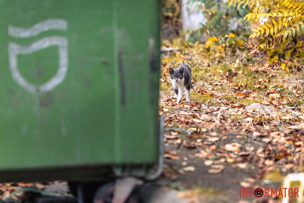 І хто це такий тут нас? І хто це такий тут нас?