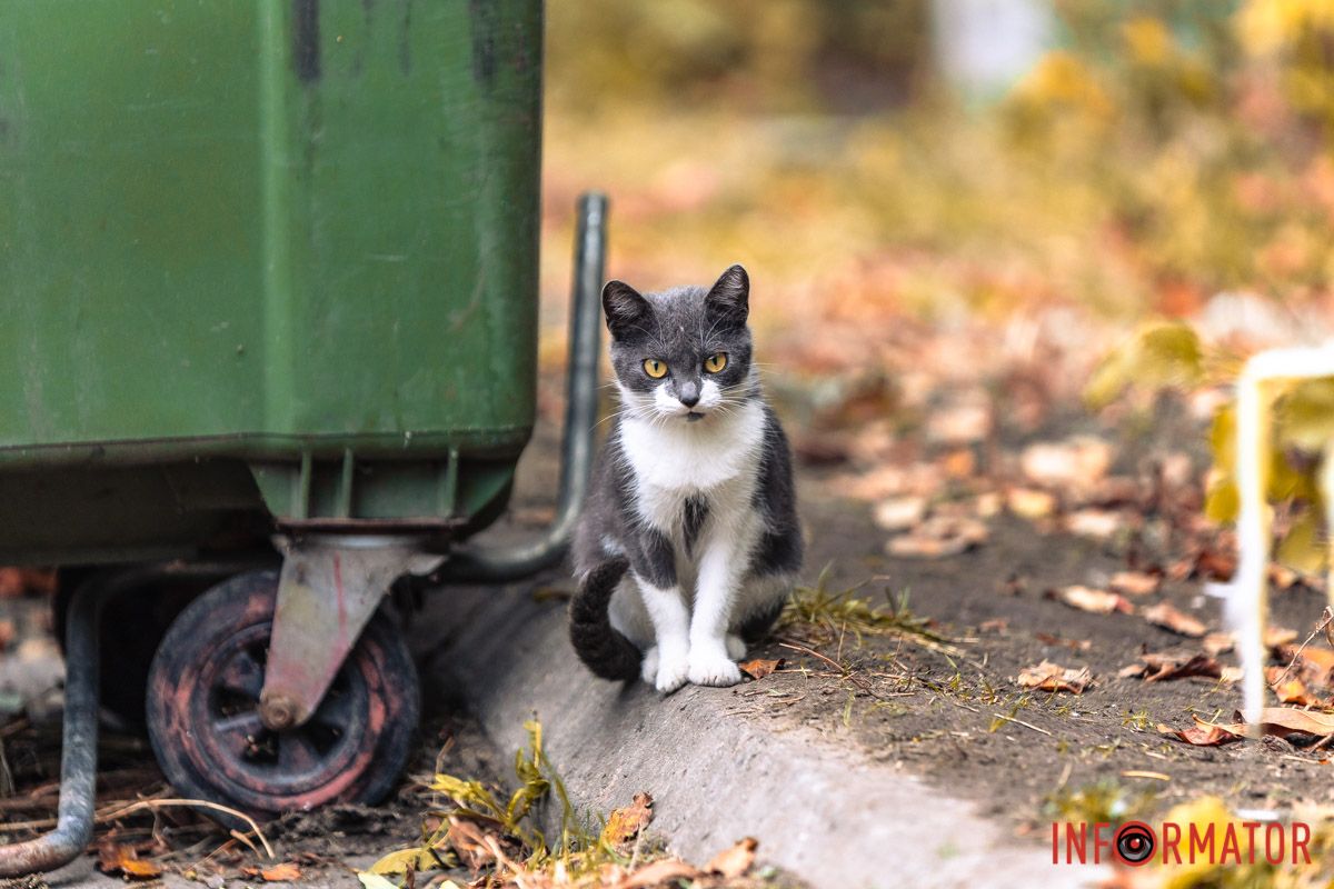 Ти заходь, якщо що Ти заходь, якщо що