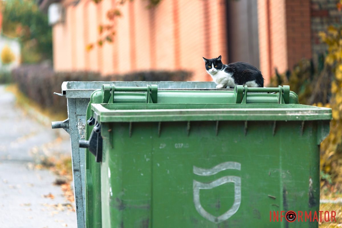 Знайшов місце для відпочинку Знайшов місце для відпочинку