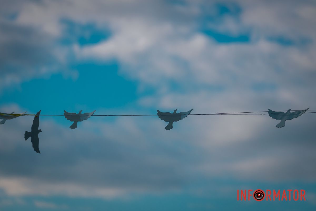 Так виглядає воля