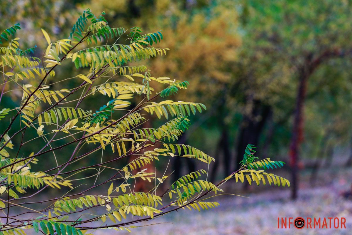 Хорошо Хорошо