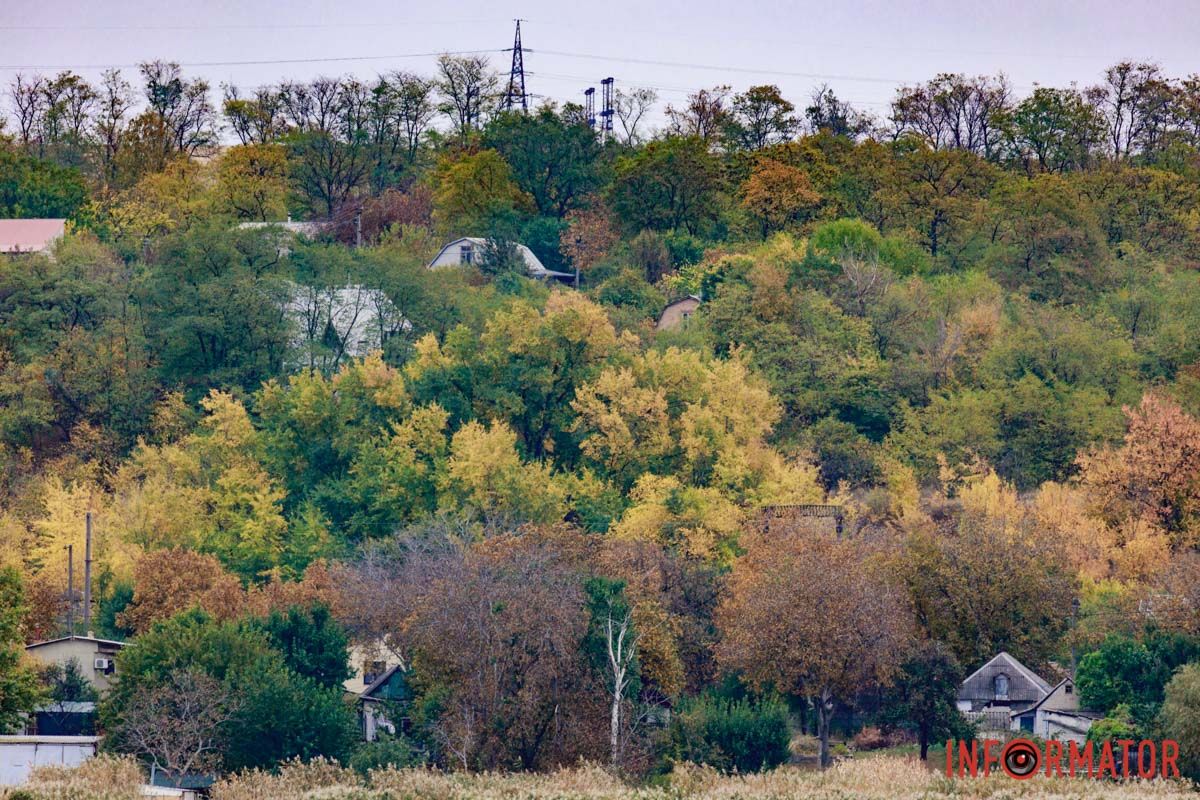 Родной город Родной город