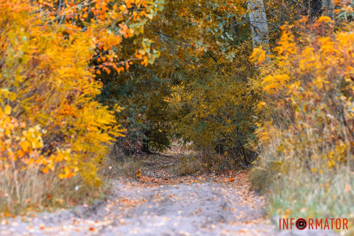 Десятки оттенков Десятки оттенков