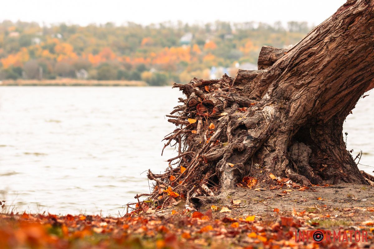 Наши операторы стараются для вас Наши операторы стараются для вас