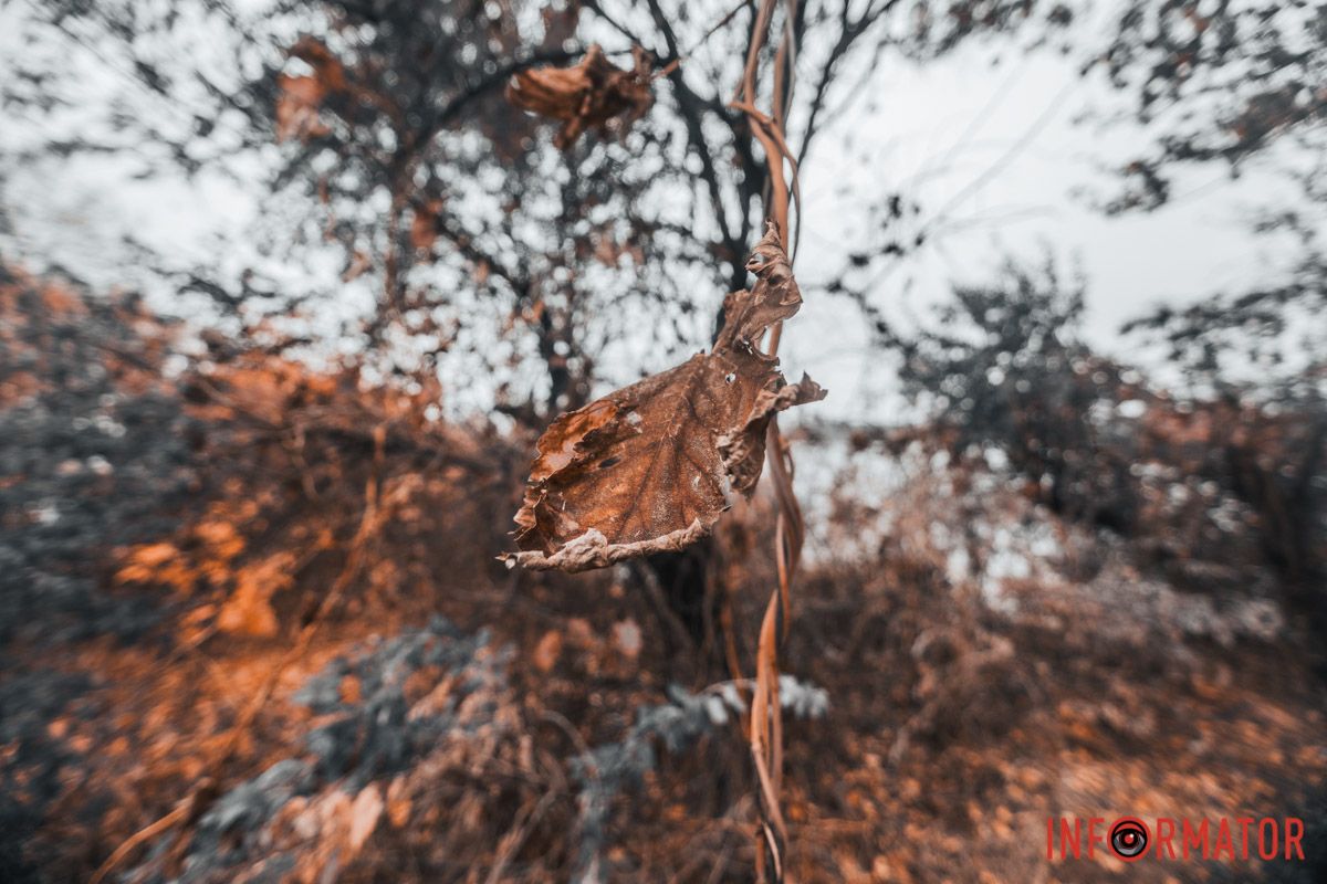 Фото: Дмитрий Федоров и Андрей Шушпан Фото: Дмитрий Федоров и Андрей Шушпан