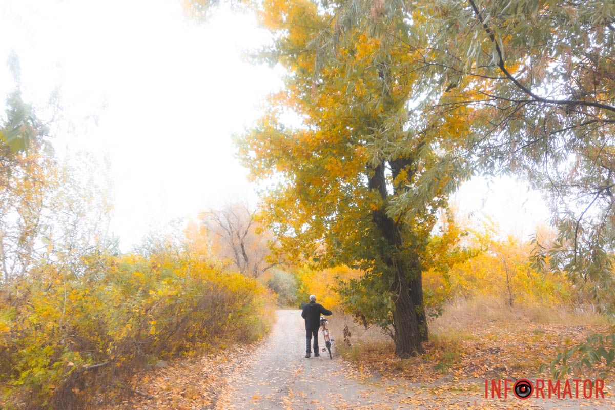 Жизнь состоит из мелочей Жизнь состоит из мелочей