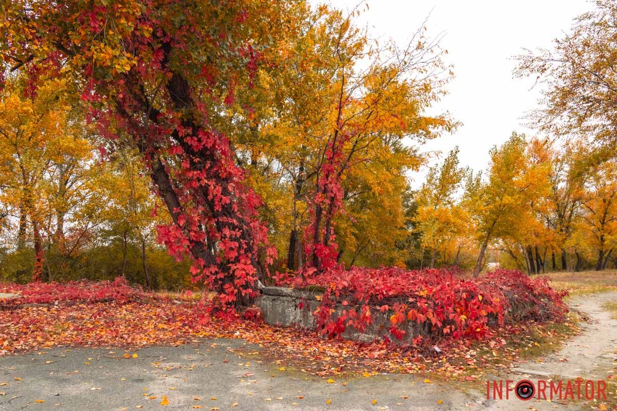 Яркие цвета Яркие цвета