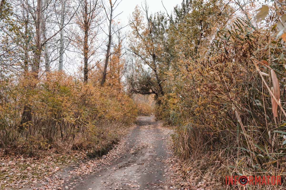 Главное - уметь увидеть красоту Главное – уметь увидеть красоту