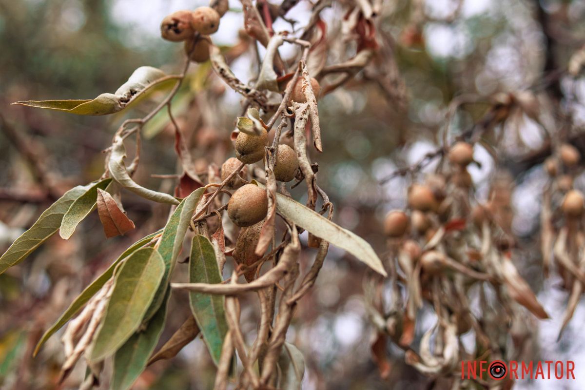 Детали Детали