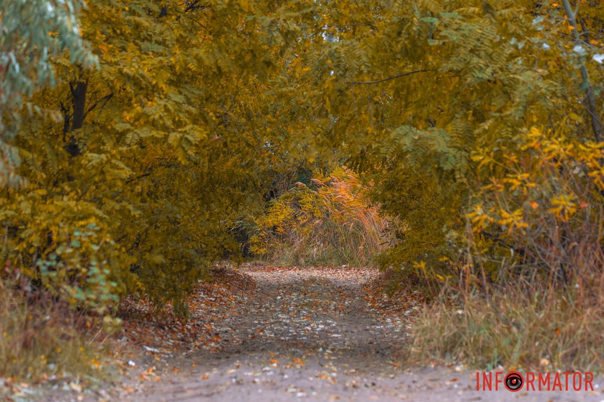 Захотелось на прогулку Захотелось на прогулку