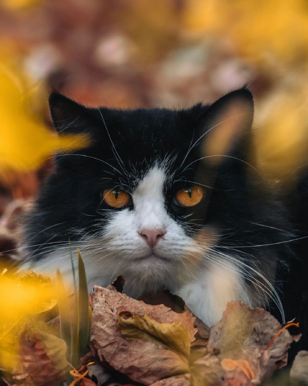 Фото: @dp_informator.ua