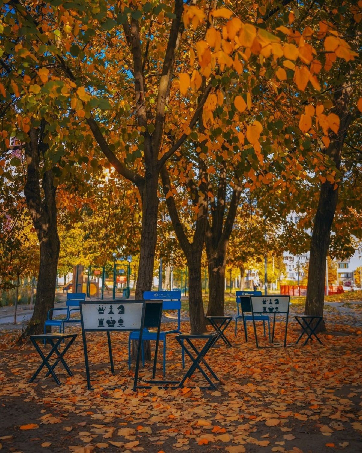 Фото: @ph_deniska