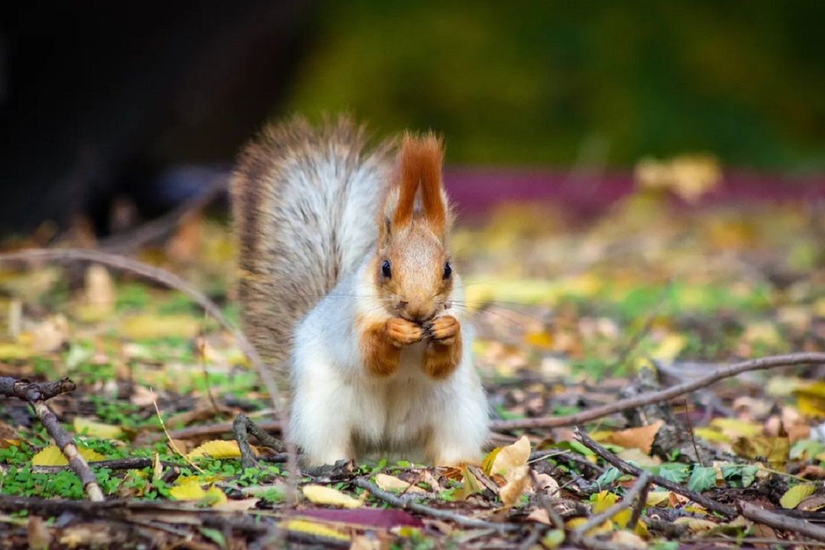 Фото: @streetphotodnepr