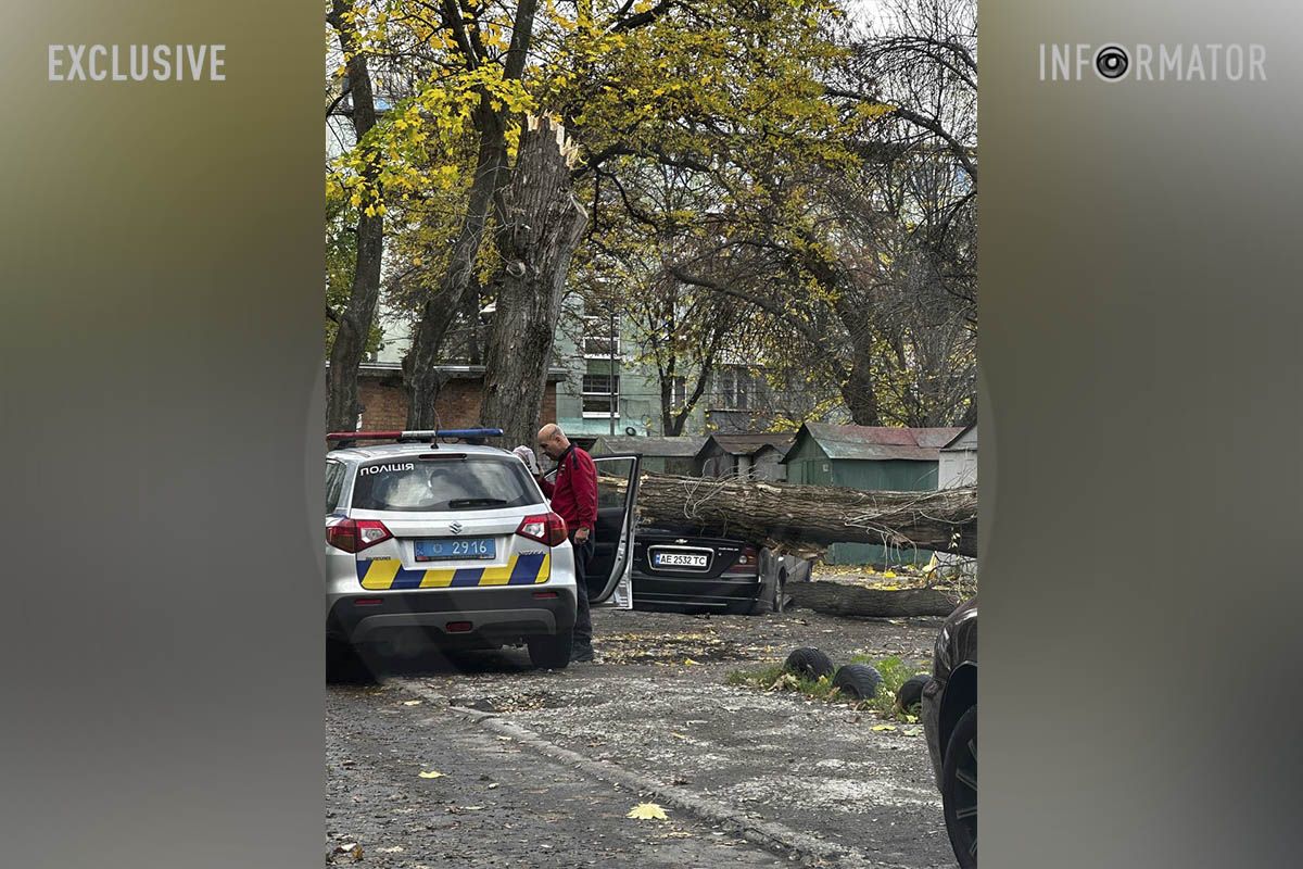 На вулиці Янгеля, 5 дерево впало на машину На вулиці Янгеля, 5 дерево впало на машину