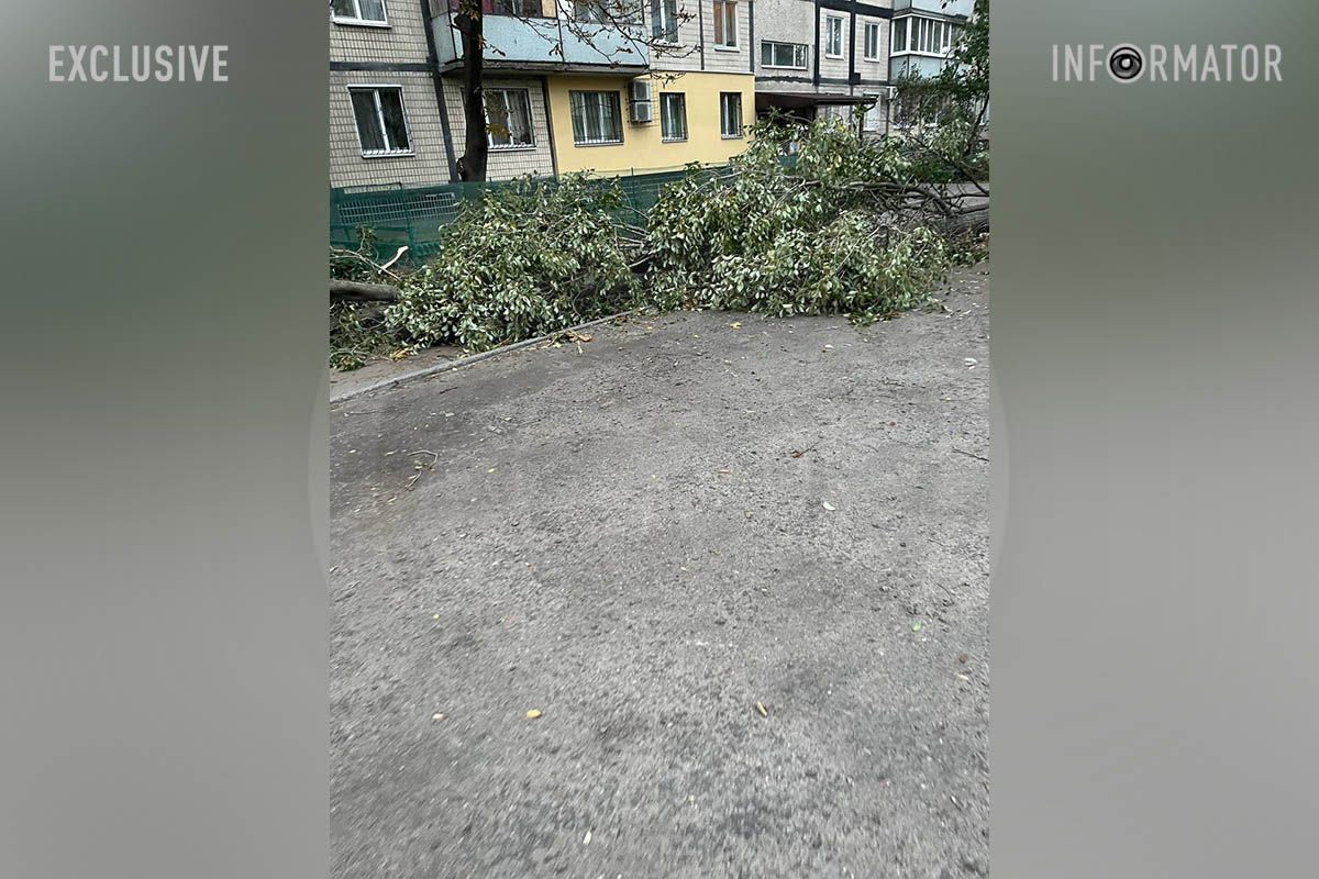 Дерева падали по всьому місту. Вулиця Решетилівська Дерева падали по всьому місту. Вулиця Решетилівська