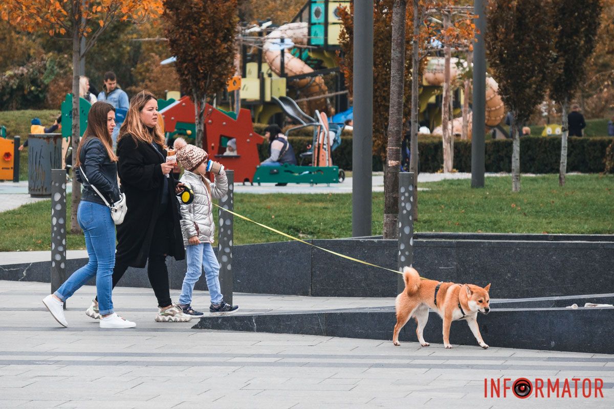 Сімейна прогулянка Сімейна прогулянка
