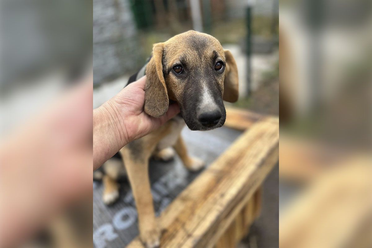 Их выбросили на улицу