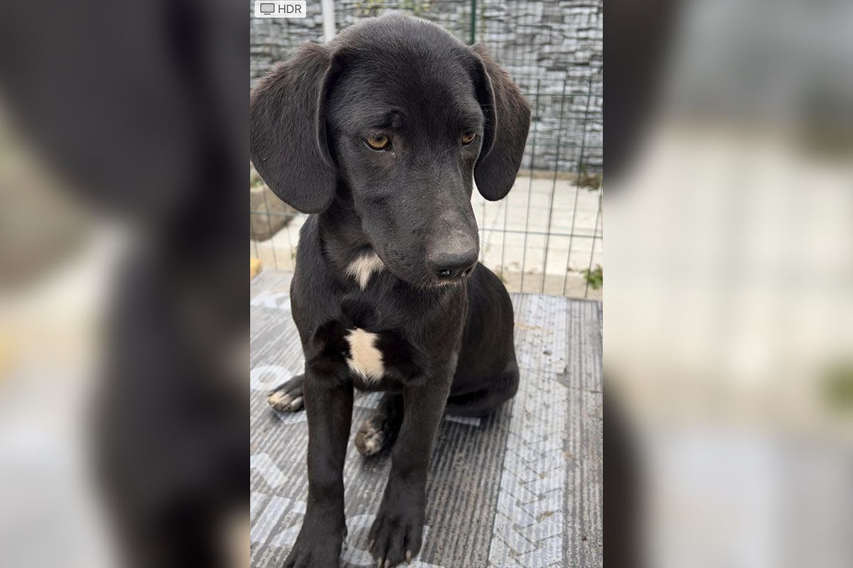 Они ждут именно вас