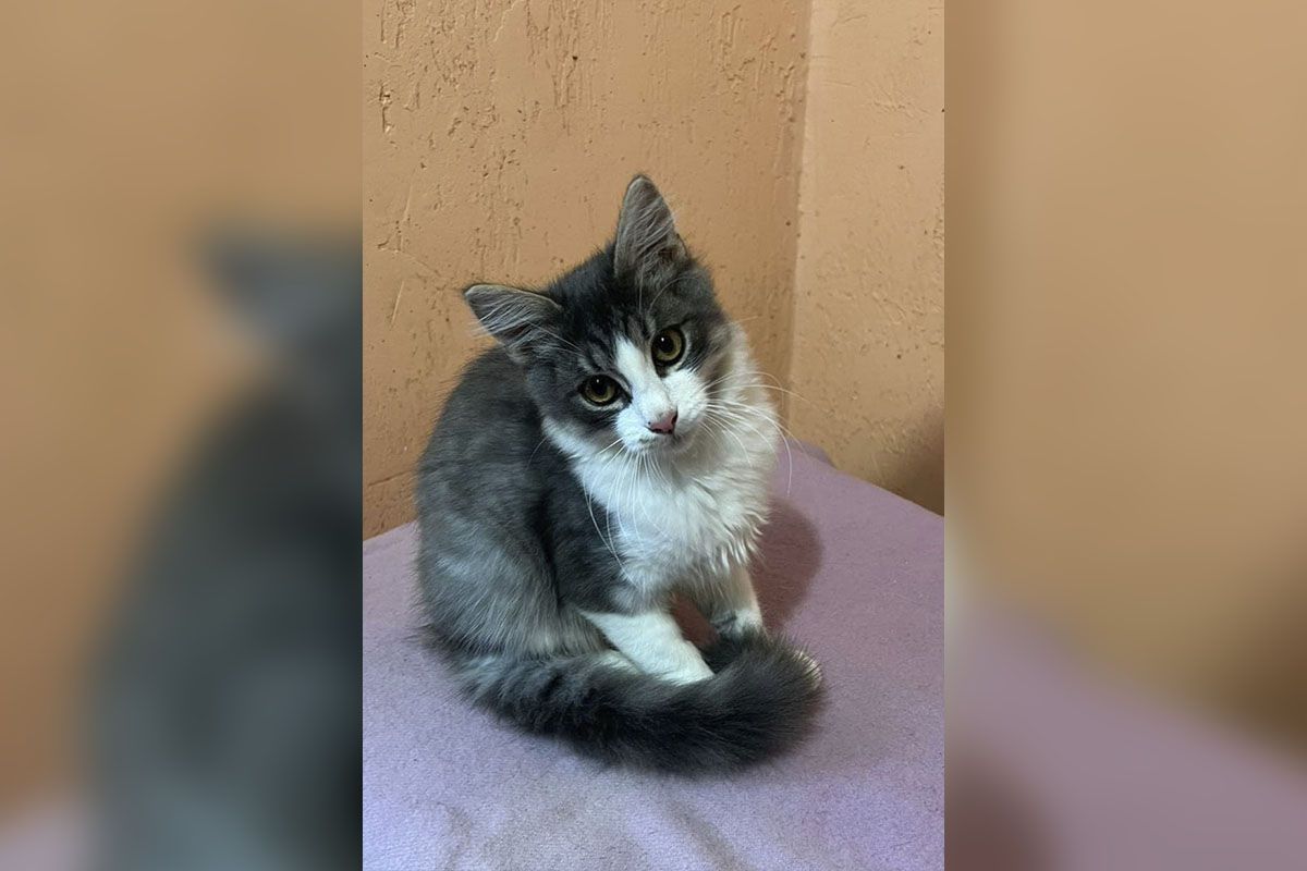 У него доброе сердце