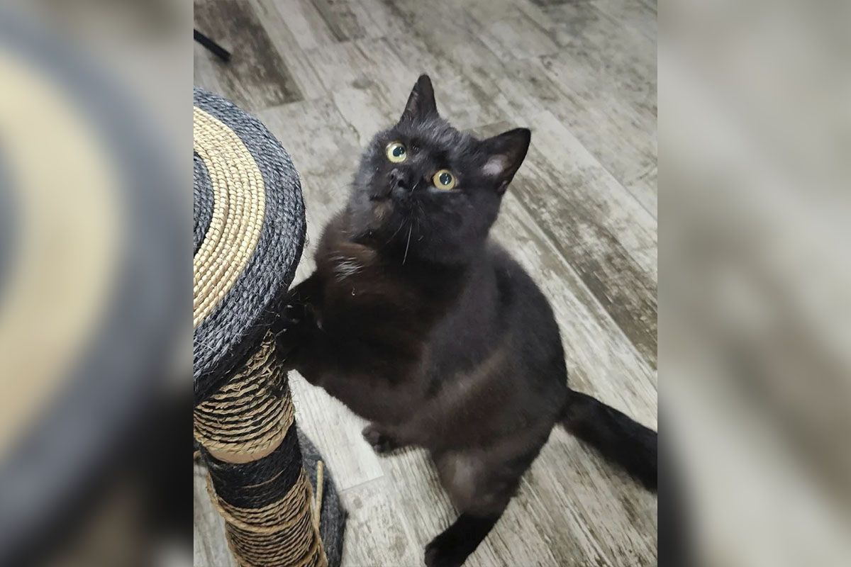 И выслушает, и совет даст