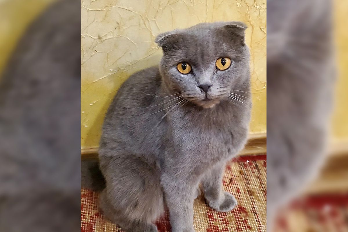 А глазки какие А глазки какие