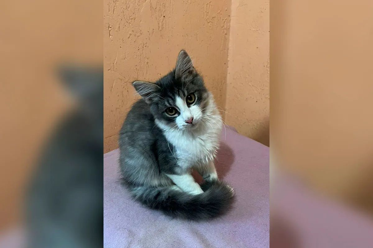 Он ждет именно вас Он ждет именно вас