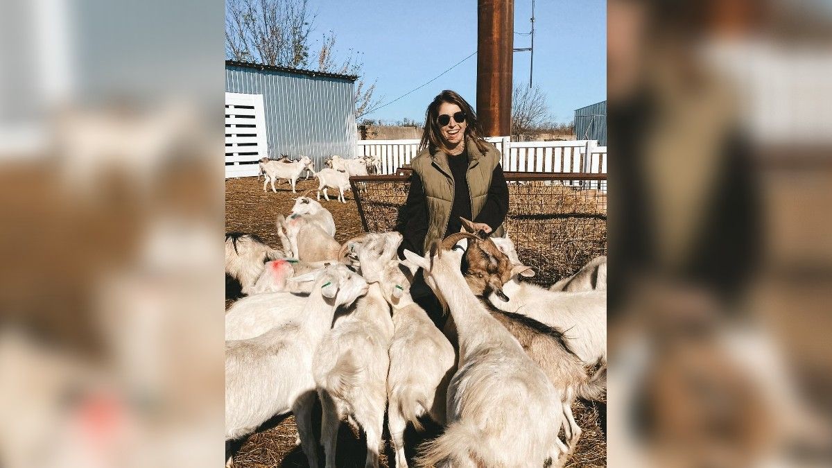 Якби у Дніпра був Instagram: топ красивих світлин міста