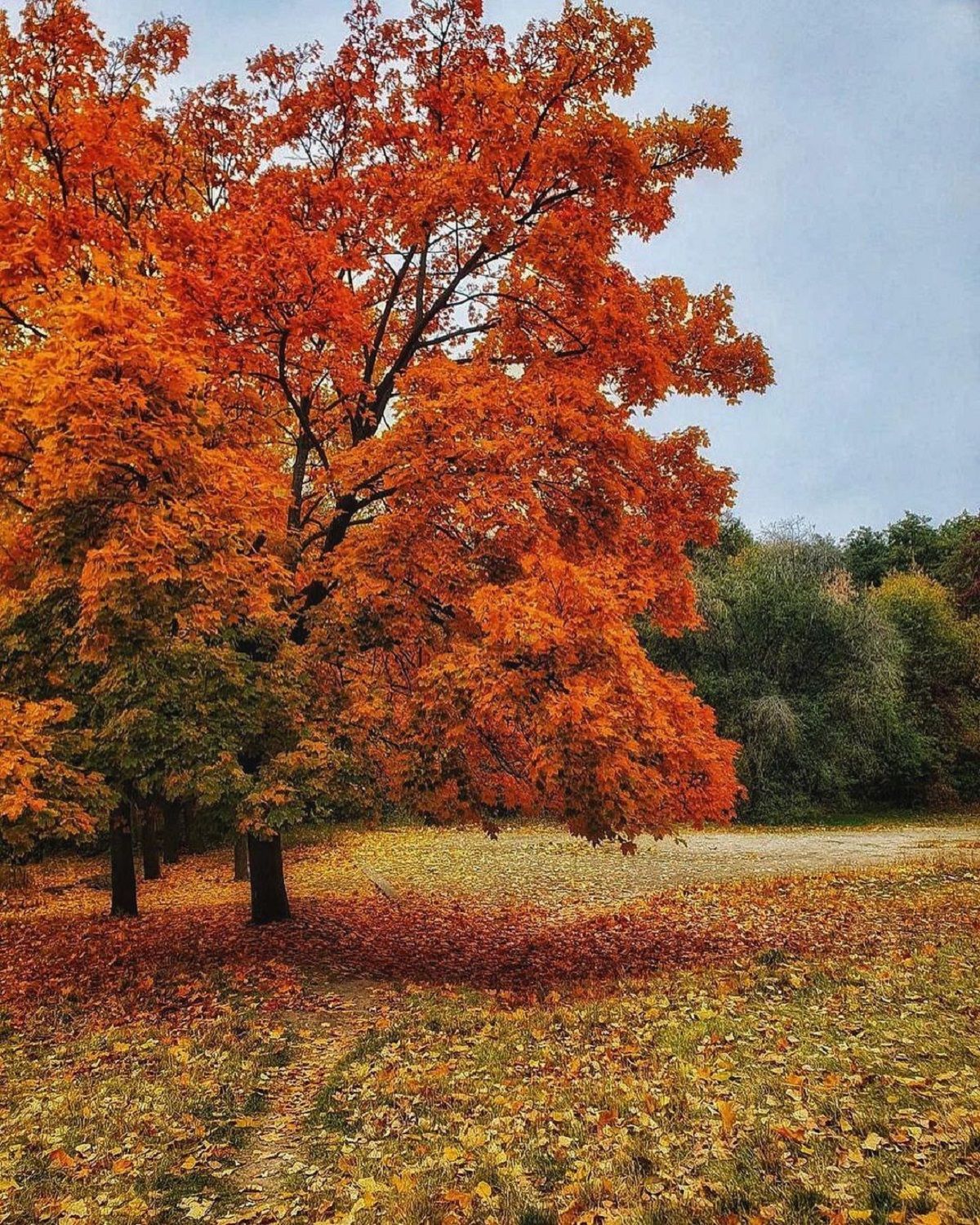 Фото: @traveling_ukraine