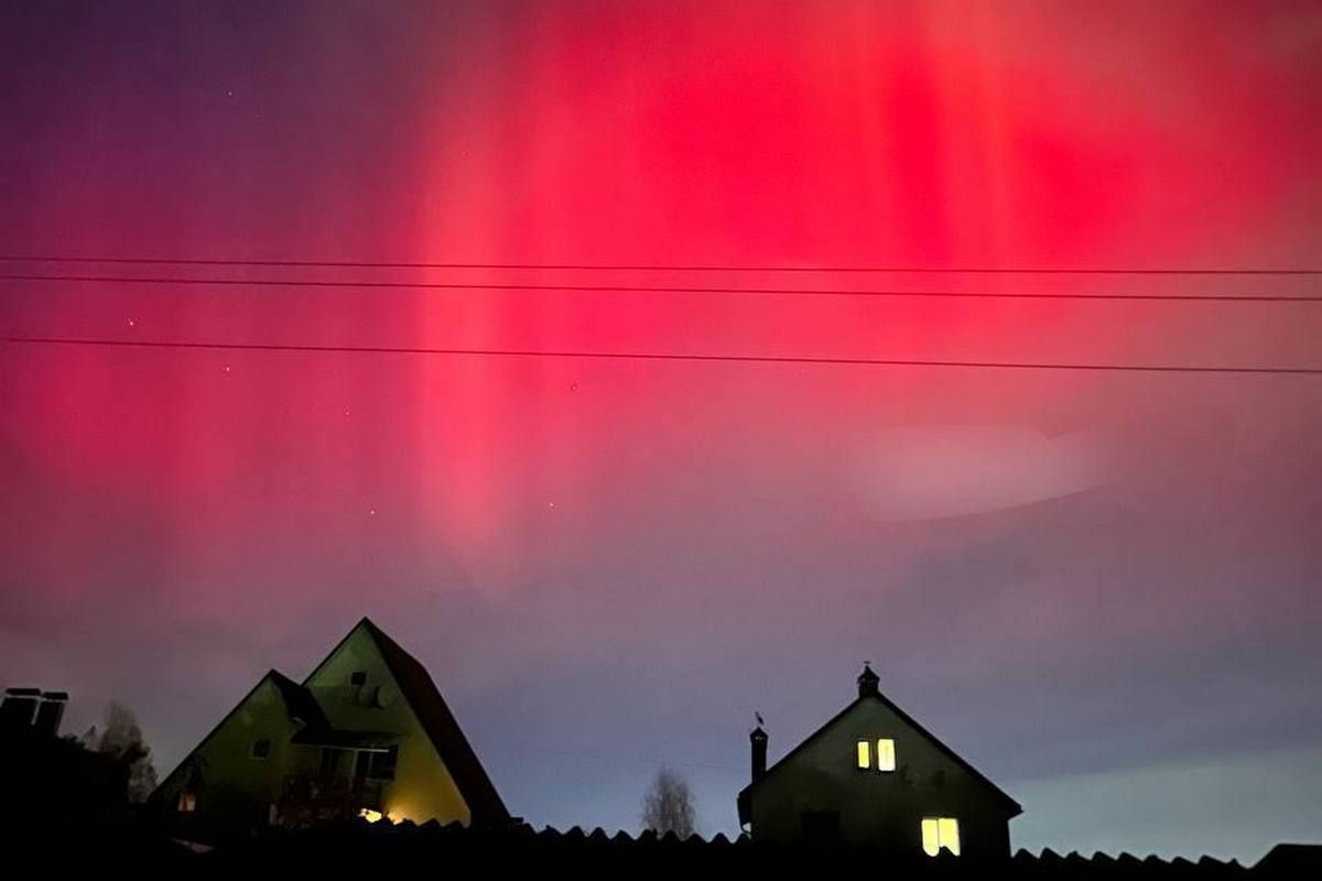 Можно наблюдать сейчас во многих странах Северного полушария