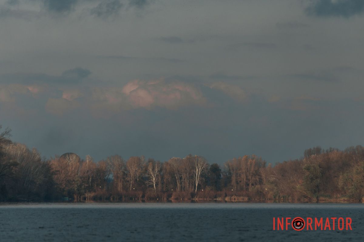Где-то здесь потерялась брокколи