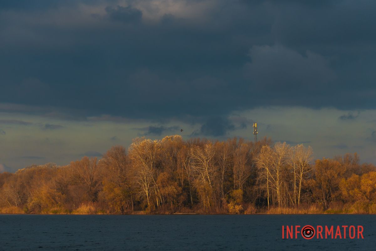 Буйство цветов