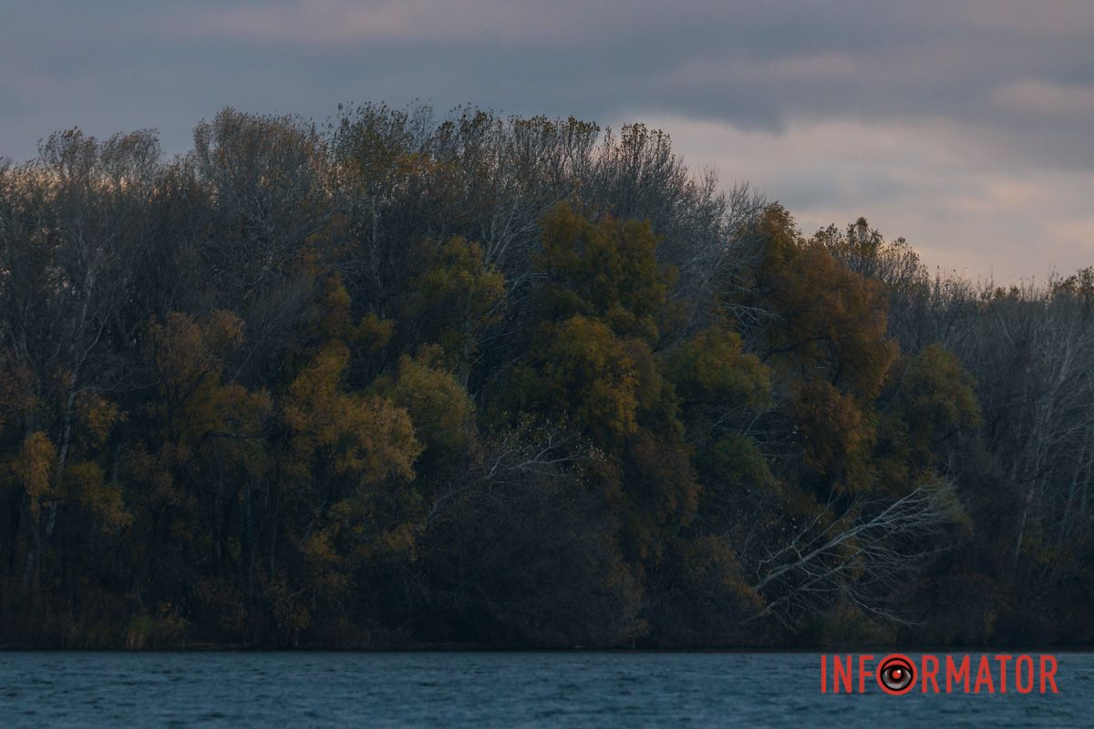 Хоть картины рисуй