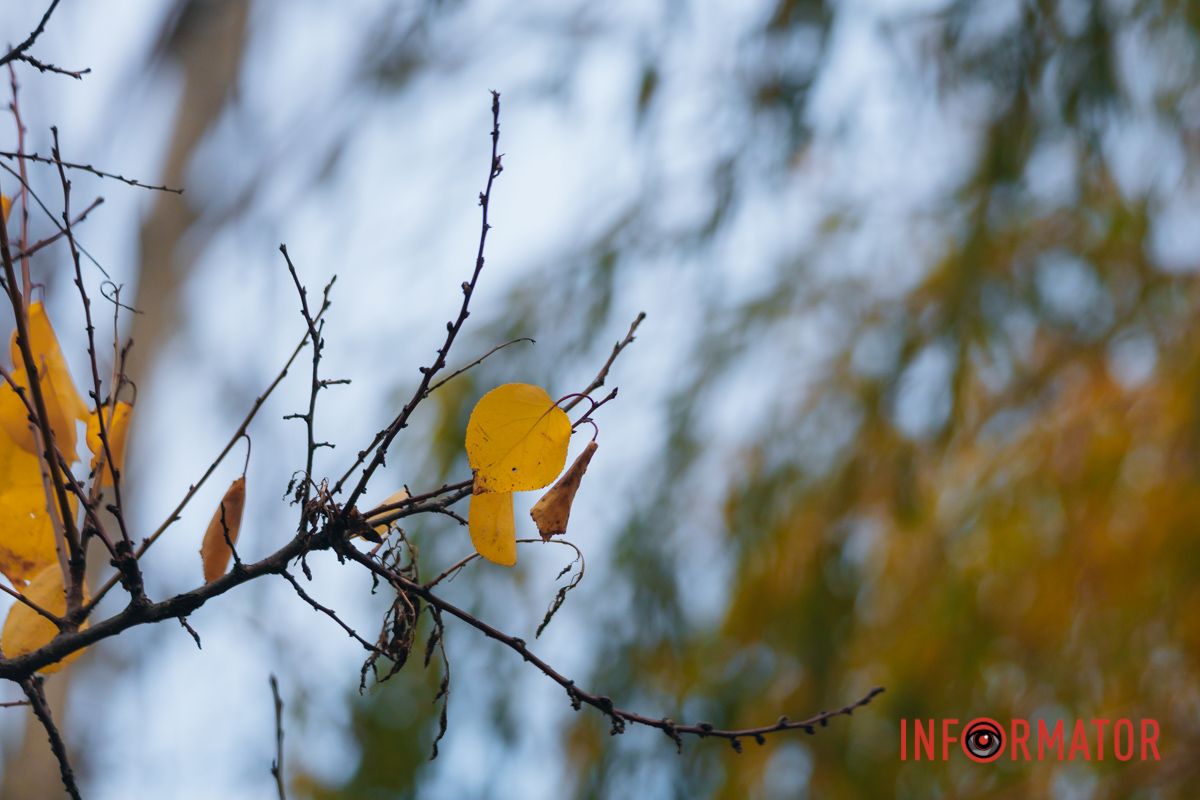 Последние теплые дни