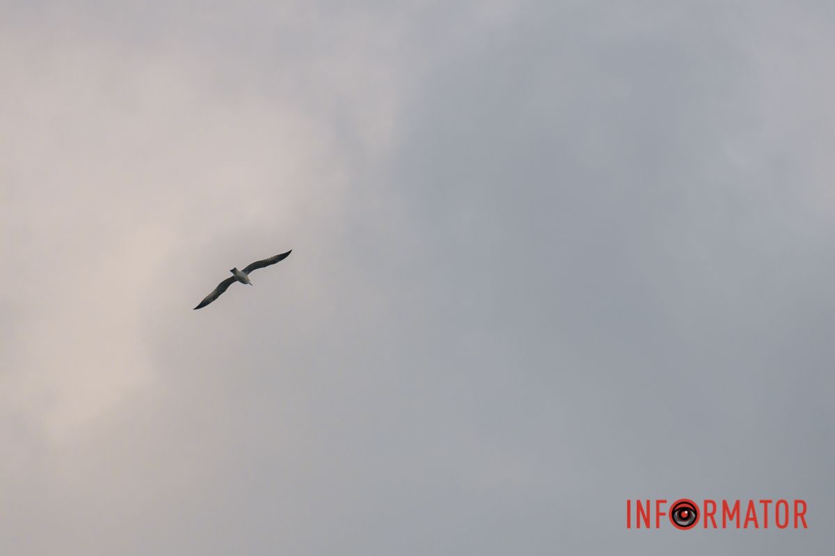 Так смотрится свобода