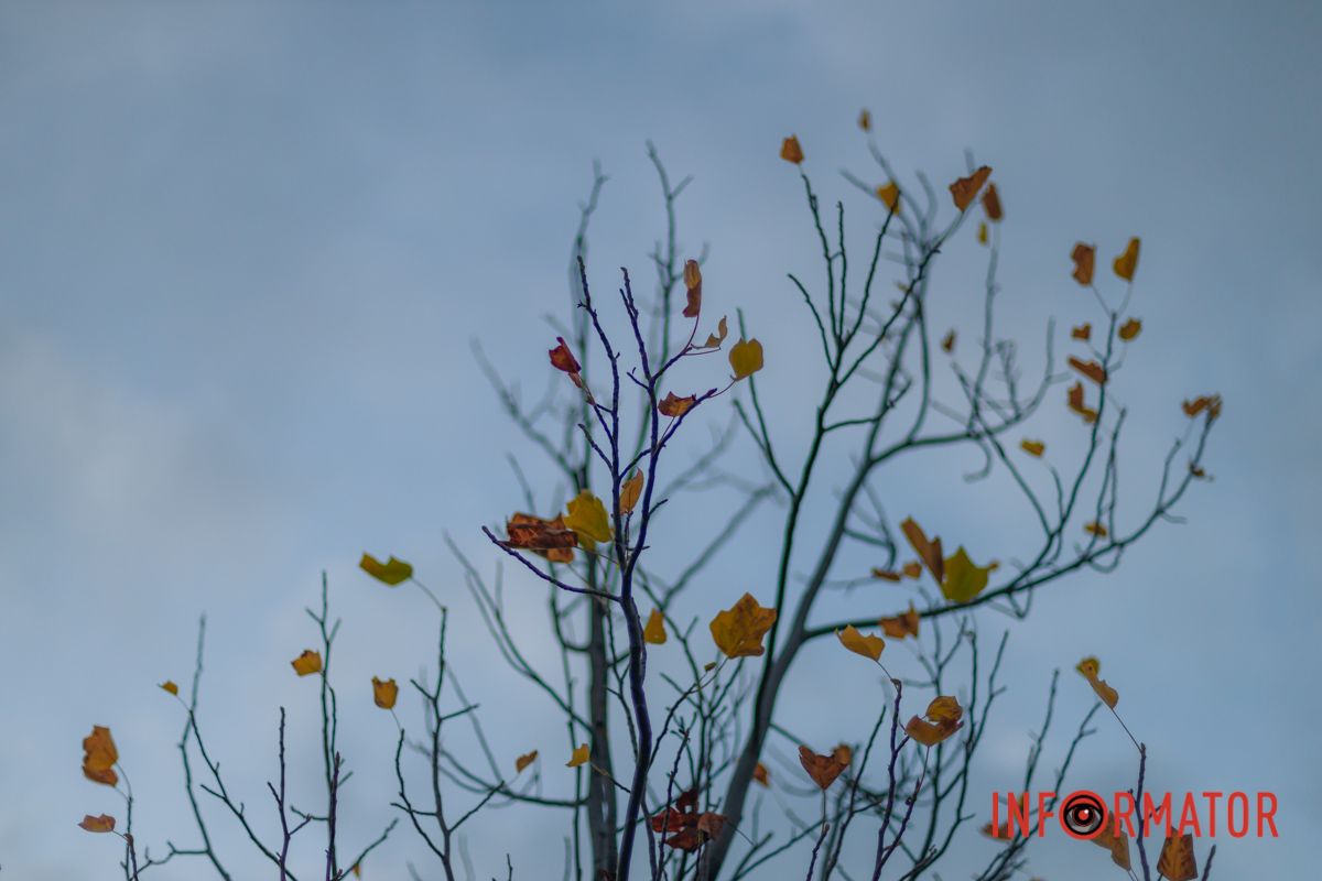 Еще держатся