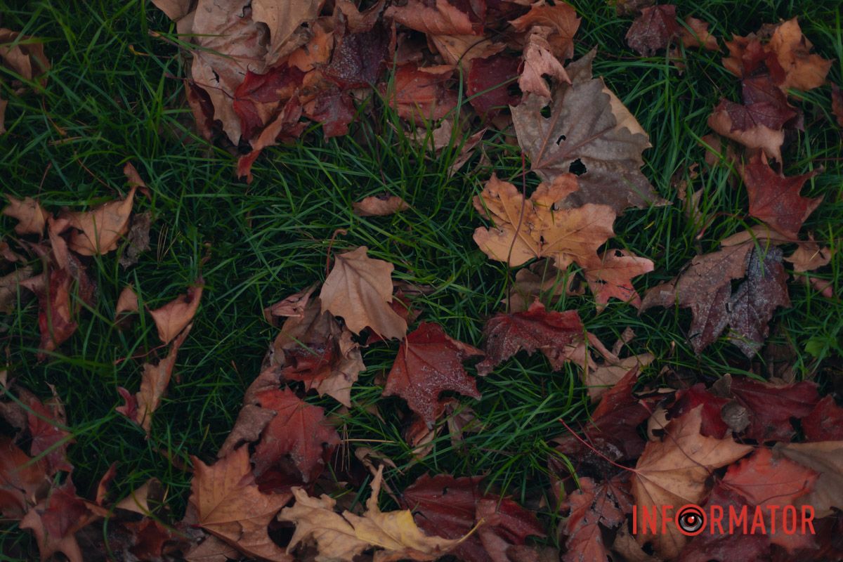 Еще не снег и даже еще не иной