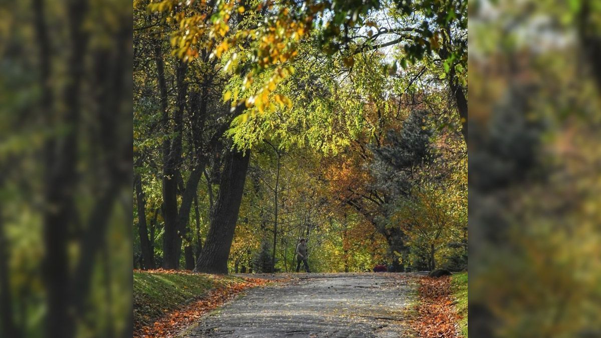 Якби у Дніпра був Instagram: топ красивих світлин міста