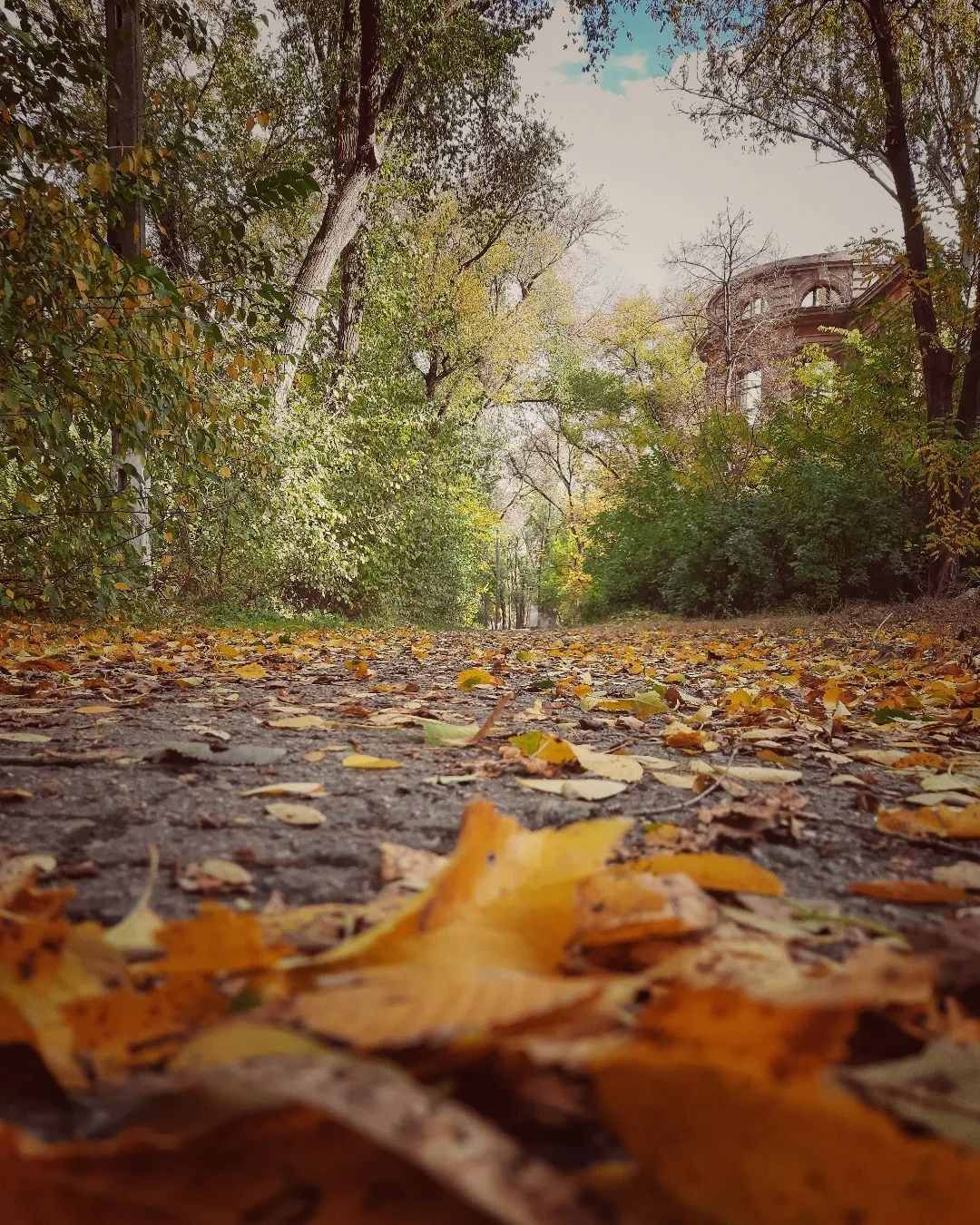 photographer_andrey_moroz