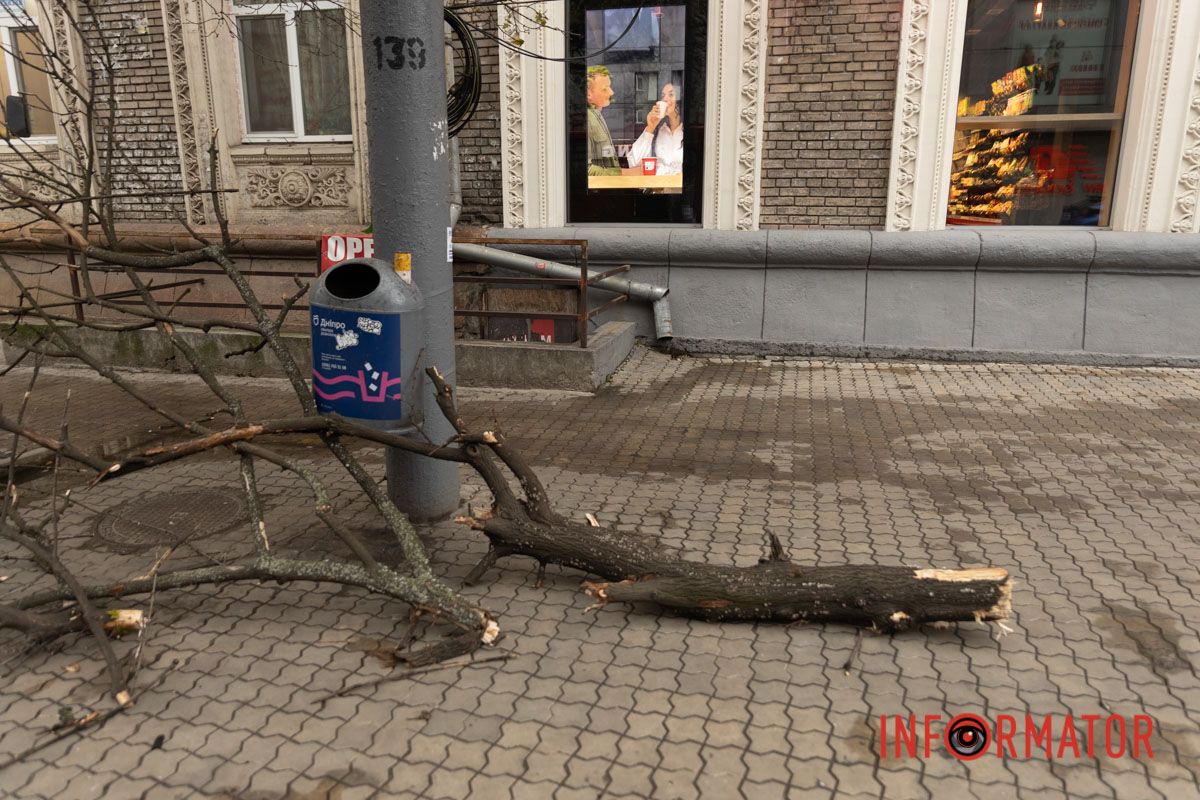 Не ходіть поблизу дерев